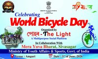 World Bicycle Day