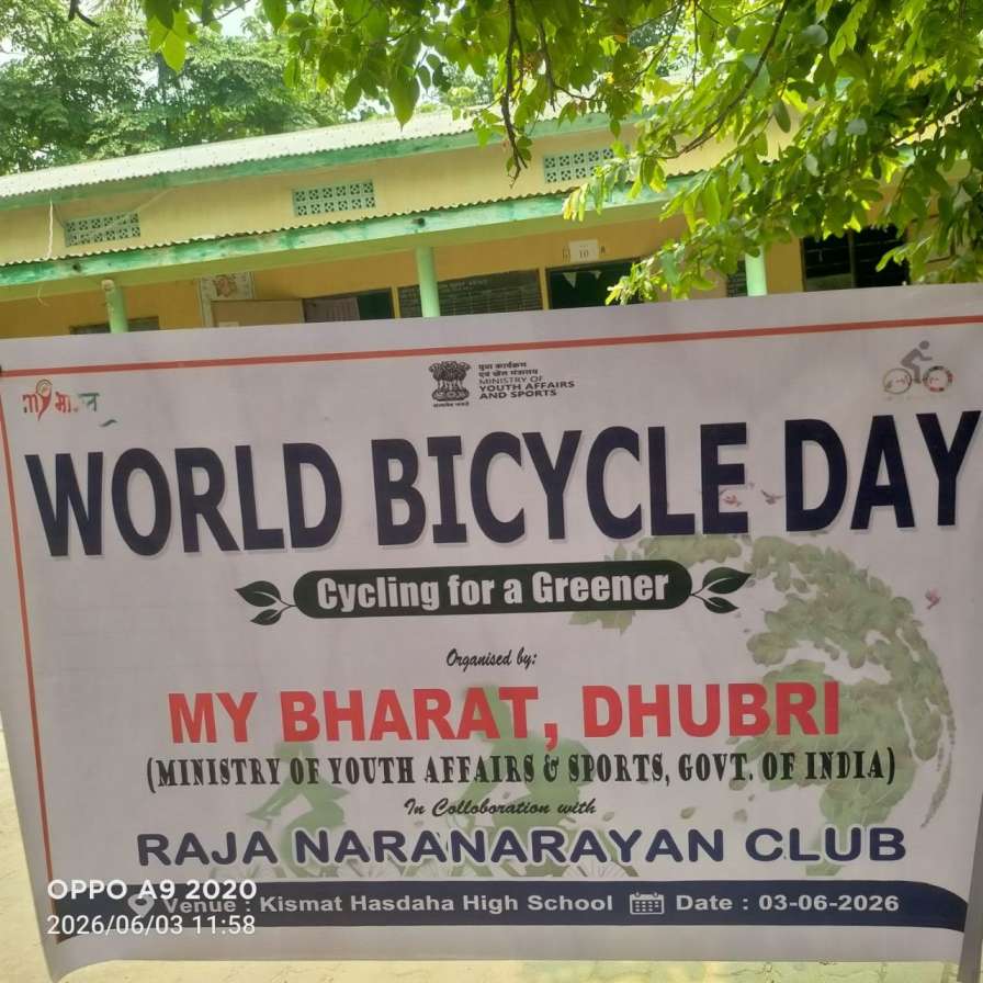 World Bicycle Day