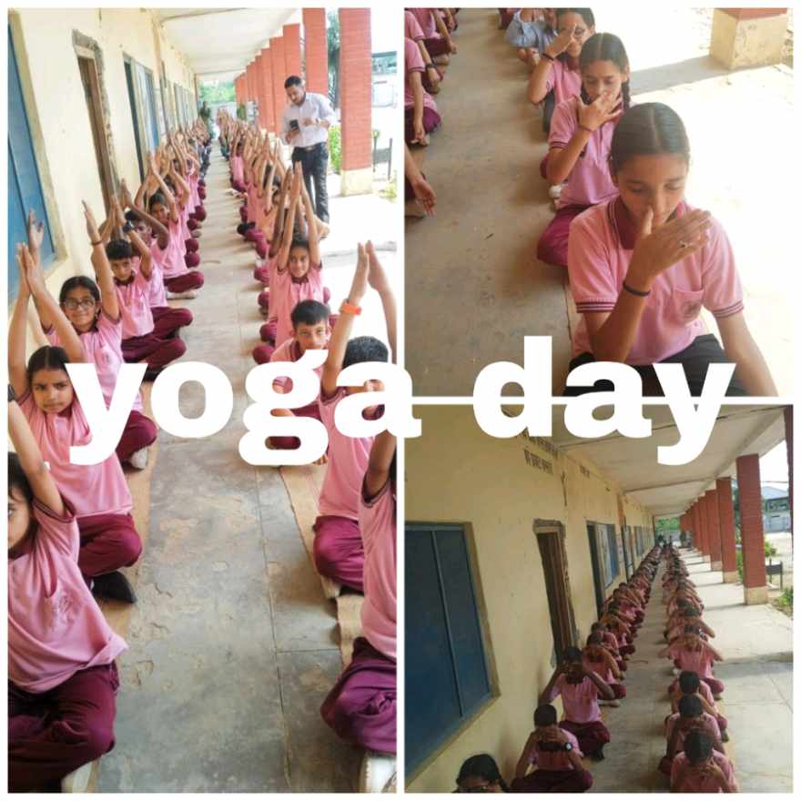 international yoga day celebration