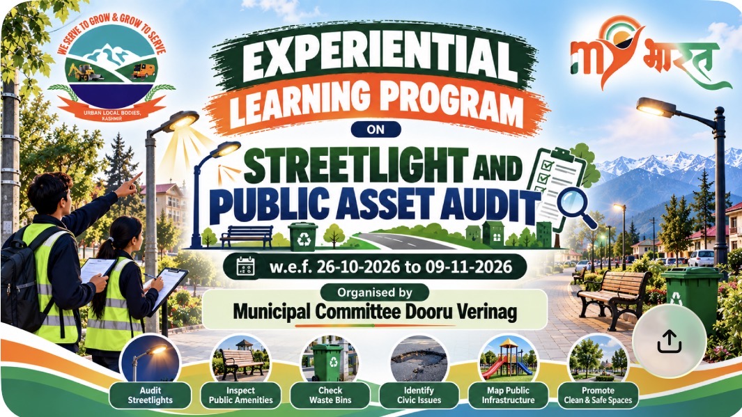 Streetlight and Public Asset Audit